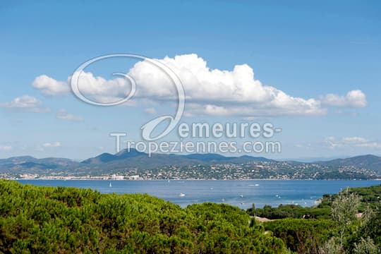 Villa Rental, Le Capon